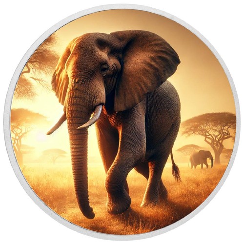 Golden stroll elefanti della - ,
