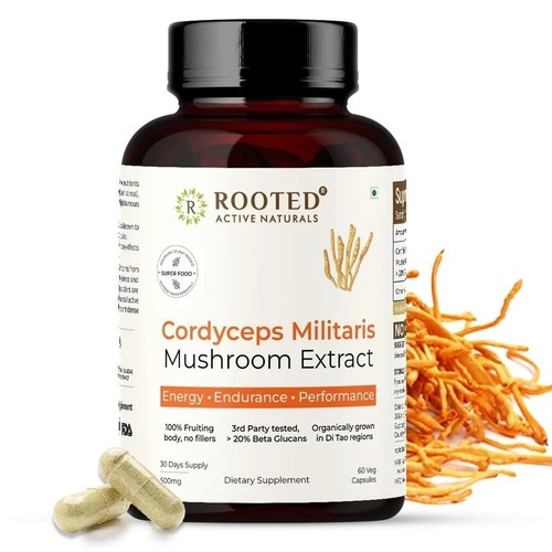 Cordyceps mushroom - cordyceps,