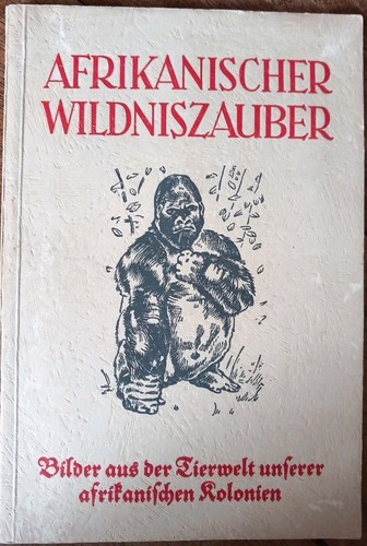 Album figurine afrikanischer - figurine,