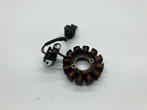 Statore alternatore magnete - statore,