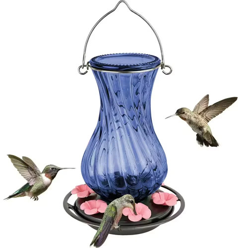 Mangiatoia per colibrì - , in