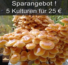 Offerta Risparmio! Flumy