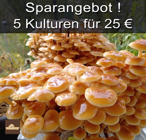 Offerta risparmio flumy - offerta, risparmio!