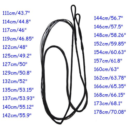 Amo corde arco - amo,