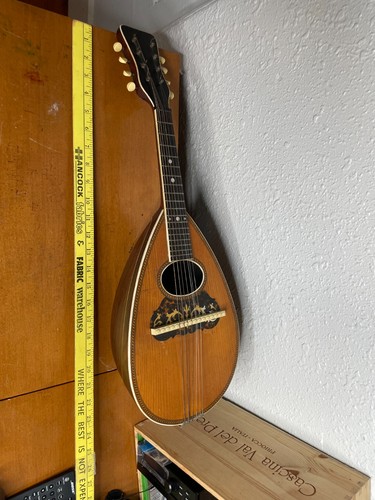 Antico strumento mandolino - antico,