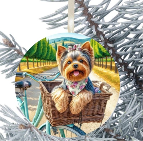 Yorkshire terrier cucciolo - yorkshire,