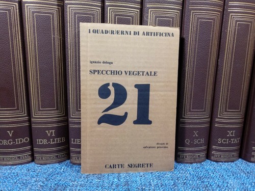 Arte delogu specchio - delogu,