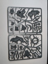 Gloomspite Gitz Droggz Da