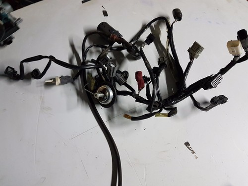 Impianto elettrico honda - impianto,