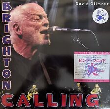 DAVID GILMOUR BRIGHTON