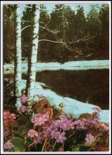 Cartolina d'epoca lituana