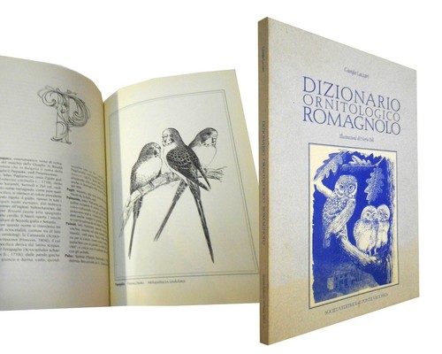 Dizionario ornitologico - dizionario,