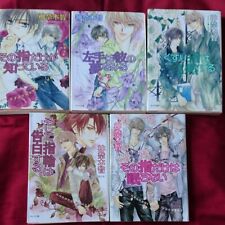 Solo l'anello conosce light