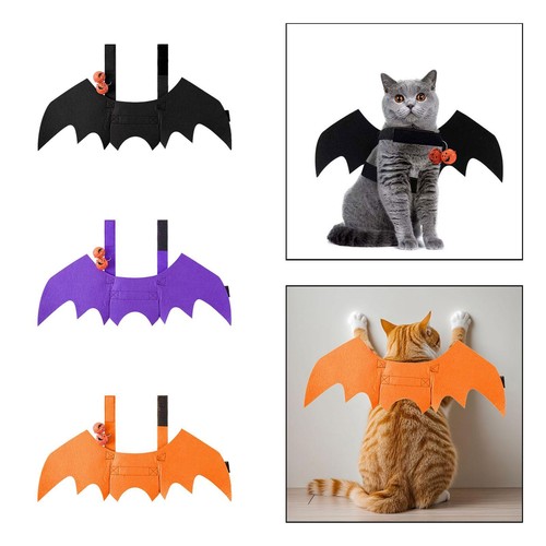Costume gatto con ali di - da,