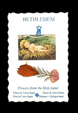 (110031) Santino image pieuse