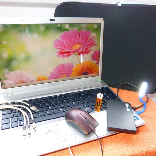 Sony vaio f13 premium - premium, 16