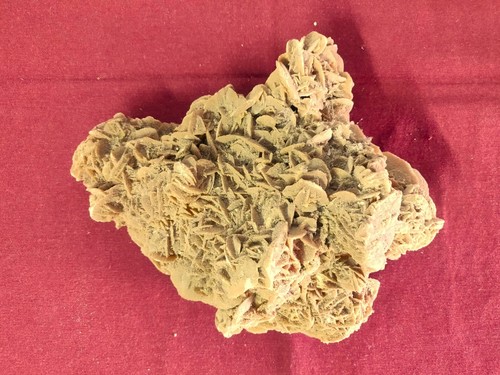 Minerale rosa del deserto - rosa,