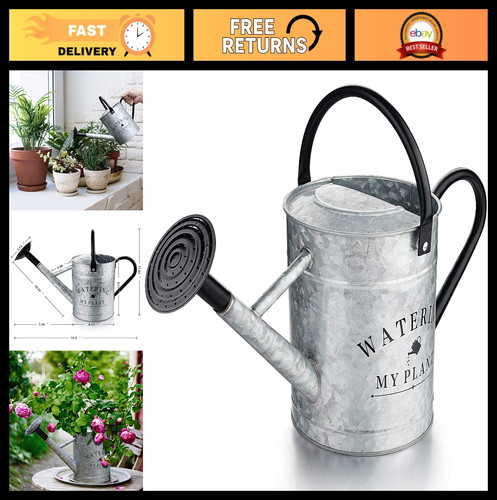 Annaffiatoio zincato gallone - zincato,