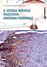 Il sistema nervoso vegetativo