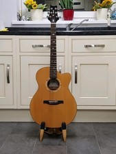 Chitarra acustica elettrica