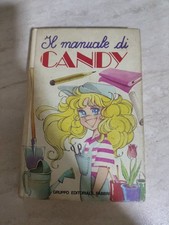 Il Manuale Di Candy Candy, 1982