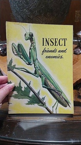 Insect friends enemies - &, enemies"