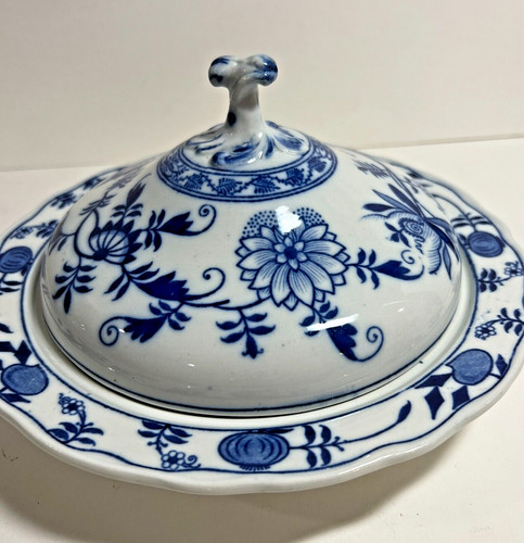Cipolla blu meissen - blu, england
