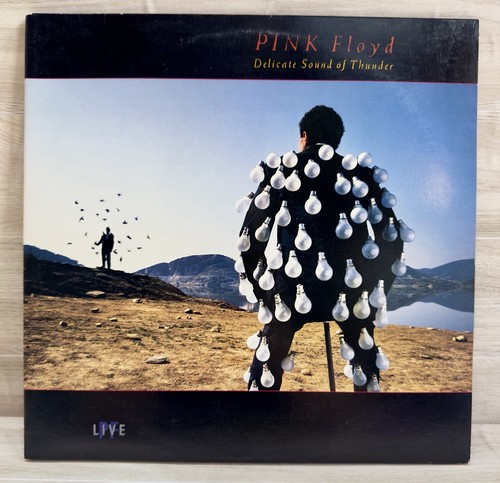 Pink floyd delicate - pink, sound
