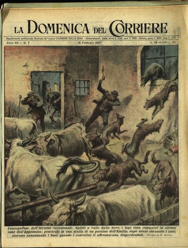 Rivista domenica del - -, la