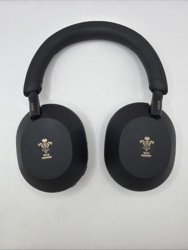 Sony 1000xm5 cuffie over - sony,