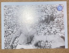 SSC Napoli,  Erredi Grafiche