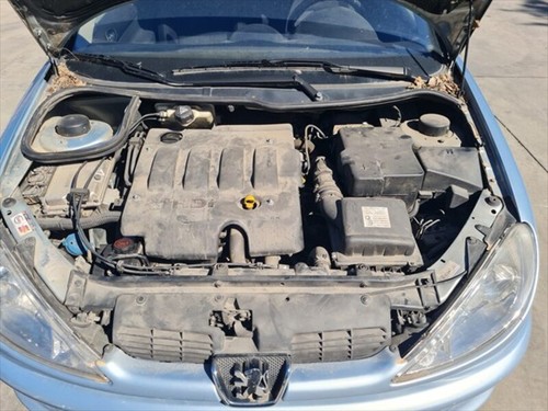 Rhy motore peugeot - motore, 206