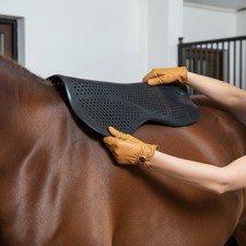 Attrezzatura Equestre