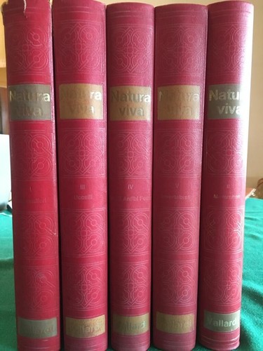 Natura viva enciclopedia - viva,