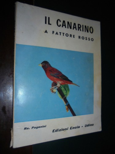Paganini il canarino - paganini,