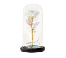 Rosa Bella Bestia Stabilizzata