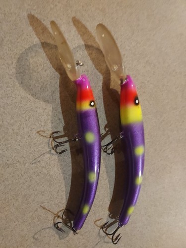 Esche pesca reef - 2, runner