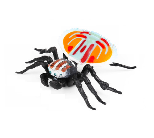 Ragno pavone cm arancione - ragno,