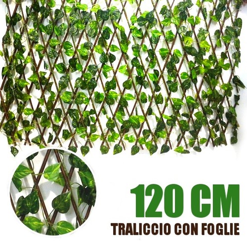 Traliccio con foglia - foglia, edera