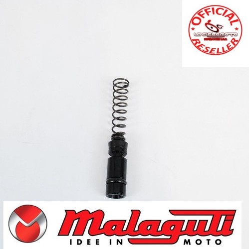 Malaguti password 250 08 - password,