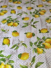 TOVAGLIA PLASTIFICATA GOMMATA ESPANSOCOPRITAVOLO 2 MM