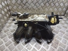 Collettore aspirazione benzina