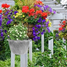 Vaso fiori in sospeso - da,