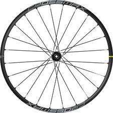 Ruota posteriore completa