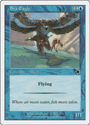 Sea eagle normal s99 50 - eagle,