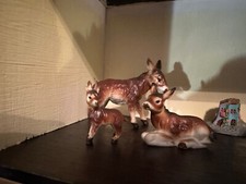 porcellana famiglia asini anni