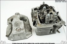 testata anteriore albero a