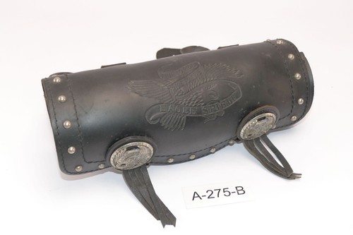Eagle spirit per kawasaki - spirit,