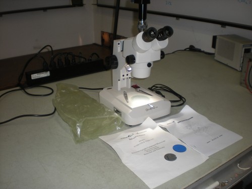 Microscopio stereo vwr xtl - microscopio,