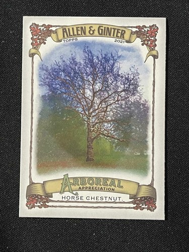 Apprezzamento arboreo allen - arboreo,